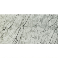 Самоклеюча стінова PET плитка 600х300х2мм SW-00001682