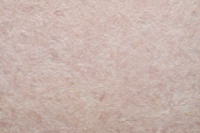 Рідкі шпалери Бегонія 137 бежеві