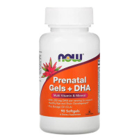 NOW Prenatal Gels + DHA 90 капсул