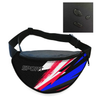Сумка-бананка Sport чоловіча/жіноча спортивна 32×16 см з розширювачем поясна сумка або сумка через плече (3750)
