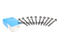 Болти головки блоку Renault Master II-III,Movano A-B 2.5-2,3dCi /Trafic II-III,Vivaro A 2.0-2.5dCi V.Reinz 14-32231-01