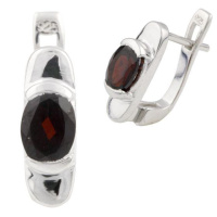 Срібні сережки Silver Breeze з натуральним гранатом (0478050)