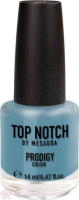 Лак Top Notch Top Notch Prodigy Nail Color 14 мл 263 BLUE PUMPKIN