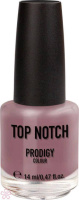 Лак Top Notch Top Notch Prodigy Nail Color 14 мл 249 GUN