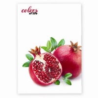 Папка пластикова А4 20 файлів, Colors of Life Pomegranate TM Skiper