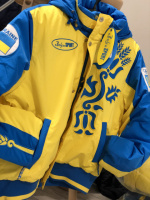 Лыжная мужская куртка Bosco. Зимний бомбер Боско спорт Украина
