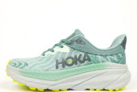 Жіночі кросівки Hoka One One Challenger (36-41)