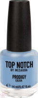 Лак Top Notch Prodigy Nail Color by Mesauda 14 мл 282 Wild Mara