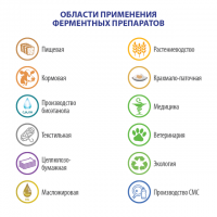 Ферменты - ферментные препараты ENZIM