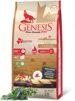 GENESIS Holistic