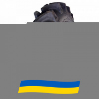 8.3 R32 Ascenso TDB 120 116A8 Сельхоз шина