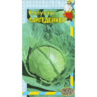 Капуста