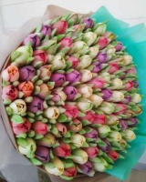 Насадки кондитерские Тюльпан, Малоазийские