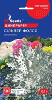 Цинерарія Сільвер Фоллс 0.1 г. GLSeeds