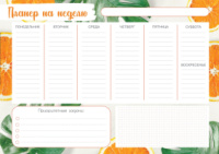 Магнітний планер А3 «Розклад на тиждень №9 Апельсин_ру»