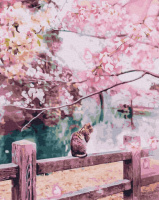Картина за номерами «Котик у квітучій сакурі» 40х50см