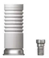 Цилиндр MUT-CCM (Multi NP-Cast) Inno, MegaGen (AnyOne)