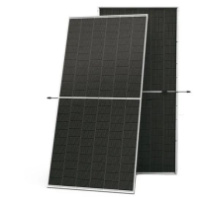 Солнечная панель Trina Solar TSM-630NEG19RС.20 630Вт (Bifacial)  (40.68V 15,49A)(2382x1134x30), 33kg