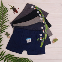 Дитячі труси для хлопчика Tom John 1-2, 2-3 року 5 шт.