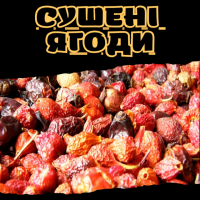 Сушені ягоди