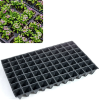 Кассета для рассады 60*40 см 77 ячейки