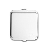 Розетка с крышкой наружная Neptun-2229