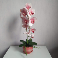 Штучна латексна орхідея VIP у рожевому керамічному кашпо на одну гілку біло-рожева