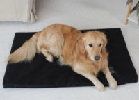 Лежанка для собаки Аляска цвет черный Лежак, лежанка для котов и собак спальное место