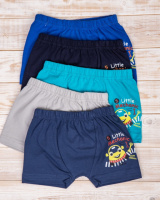 Дитячі труси для хлопчика Pinolo 2-3  років 5 шт.