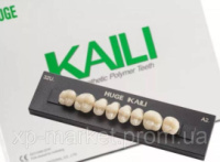 Планка жевательных верхних зубов Кали ( Kaili ) 8 шт 34U, D3