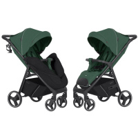 Прогулянкова коляска CARRELLO Bravo CRL-8512  Spring Green /1/