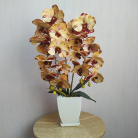 Штучна латексна орхідея VIP у бежевому керамічному кашпо на дві гілки кремово-бордова