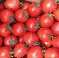 Насіння томатів Колібрі F1 (Kolibri F1) 5шт Clause