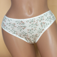 Труси жіночі сліпи Nicoletta Туреччина M, L, 2XL     5 шт.