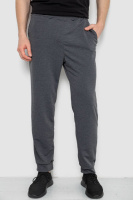 Спортивные штаны мужские, цвет серый, 238R122