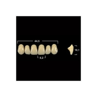 Акриловые зубы Tribos 501, фронт, верх - Т66 А1