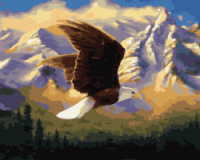 Картина за номерами «Горний орел» 40х50см