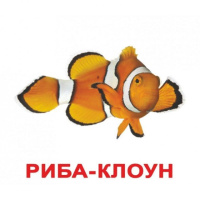 МЕШКАНЦІ ВОДИ. Карточки Домана. Ламіновані