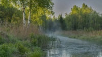 Фиточай Фитопродукт