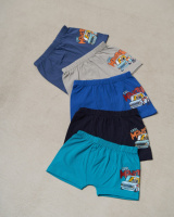Дитячі шортики на хлопчика - Cool monster   2-3, 4-5, 5-6, 6-7 років 5 шт.