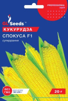 Кукурудза F1 Спокуса GLSeeds