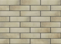 Клінкерна фасадна плитка Retro Brick salt 6,5х24,5