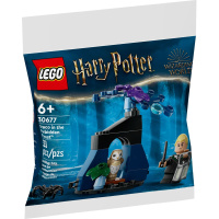 Конструктор LEGO Harry Potter Драко в Запретном лесу (30677)