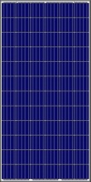 Солнечная батарея (панель)Amerisolar AS-6P30-330W / 24В поликристаллическая