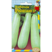 Кабачок Грибовский 37 2гр