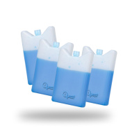 Набор из 4 шт аккумуляторов холода гелевых Quest 15*10*2 см, 200 мл