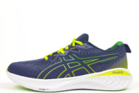 Чоловічі кросівки Asics Gel-Cumulus 25 (41-46)