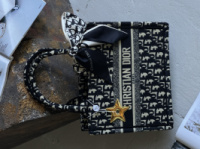 Сумка Dior шопер тканевий Medium size чорний