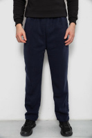 Спортивные штаны мужские на флисе, цвет синий, 244R41715