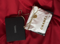 Жіноча сумка Chanel 22 Mini Handbag білий
